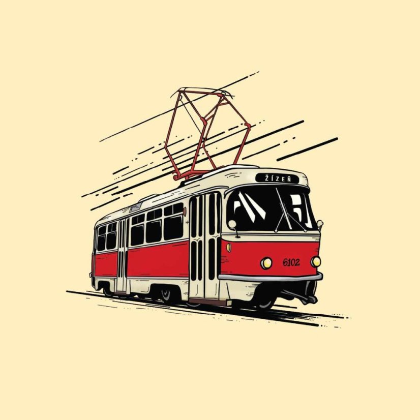 12° Tatra T3 6102